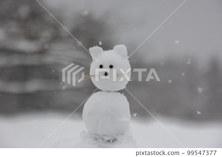 雪域高原，貓雪人 99547377