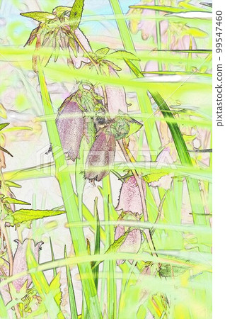 i Firefly Bakuro 螢火蟲在花冠 Yamahofaru Bukuro 插圖中發光 99547460