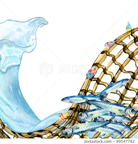 Composition of anchovies and fishnet watercolor illustration isolated on white. Composition of anchovies and fishnet watercolor illustration isolated on white. 99547782