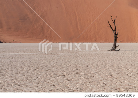 Barren landscape near Deadvlei and sossusvlei Barren landscape near Deadvlei and sossusvlei 99548309