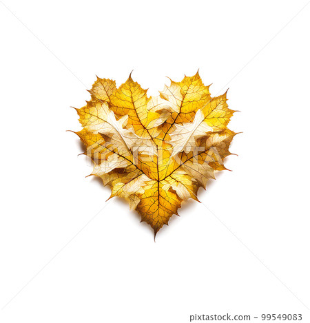 fallen leaves in the shape of a heart fallen leaves in the shape of a heart 99549083