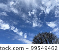 Sky clouds 99549462