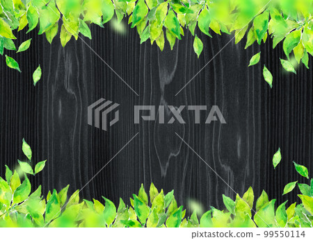Fresh green blackboard frame background material Fresh green blackboard frame background material 99550114