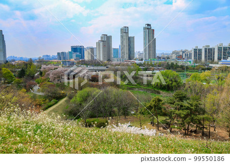 Olympic Park Songpa-gu Seoul Olympic Park Songpa-gu Seoul 99550186