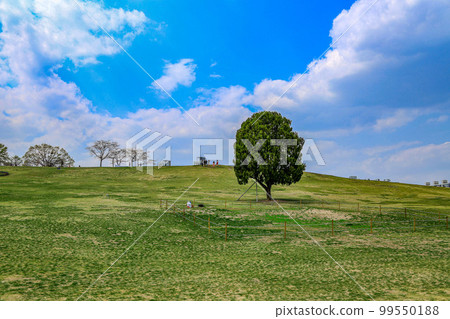 Olympic Park Songpa-gu Seoul Olympic Park Songpa-gu Seoul 99550188