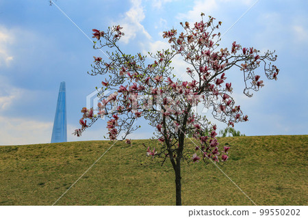 Olympic Park Songpa-gu Seoul Olympic Park Songpa-gu Seoul 99550202