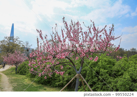 Olympic Park Songpa-gu Seoul Olympic Park Songpa-gu Seoul 99550224