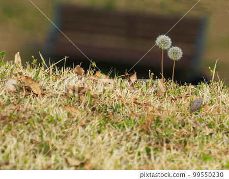 Olympic Park Songpa-gu Seoul Olympic Park Songpa-gu Seoul 99550230