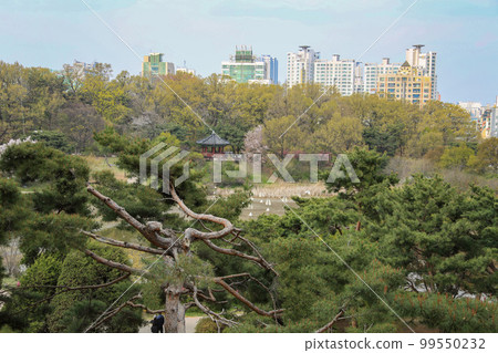 Olympic Park Songpa-gu Seoul Olympic Park Songpa-gu Seoul 99550232