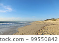 Coast near Perth (October) 99550842