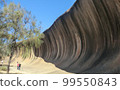Wave Rock (Australia) 99550843