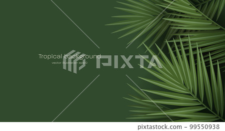 Tropical palm leaves, jungle palm leaf creating texture, modern wallpaper with copy placement 99550938