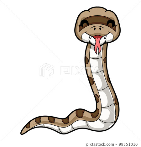 Cute happy gopher snake cartoon Cute happy gopher snake cartoon 99551010