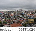 Sao Paulo 99551020