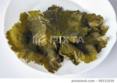 Pickled grape leaves on a white plate Pickled grape leaves on a white plate 99552036