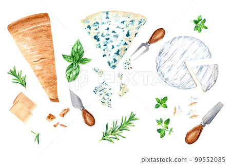 Parmesan, gorgonzola and bri cheese set with herbs and cheese knives. Watercolor illustration isolated on white 99552085