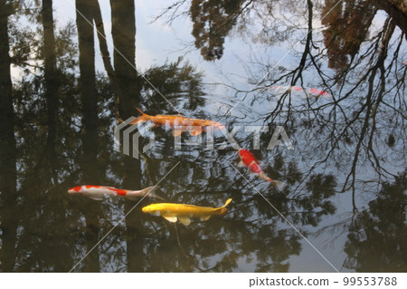 京都市東山區天珠庵、蹴上站、京都市營地鐵、庭園、東西線、琵琶湖運河、禦朱院、枯山水庭園、枯山水 99553788