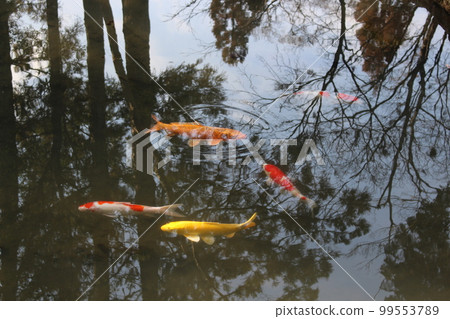 京都市東山區天珠庵、蹴上站、京都市營地鐵、庭園、東西線、琵琶湖運河、禦朱院、枯山水庭園、枯山水 99553789