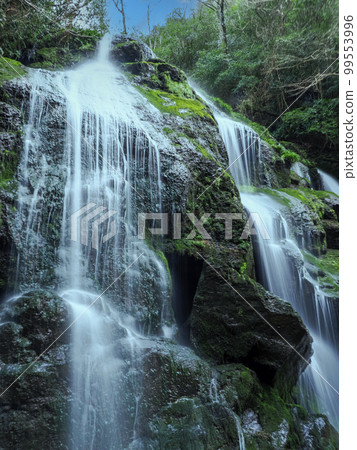 Sentaki no Medaki Falls, Abu-machi, Abu-gun 99553996