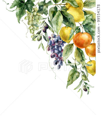 Watercolor tropical border of ripe lemons, olive, oranges, grapes and leaves. Hand painted branch of fresh fruits isolated on white background. Tasty food illustration for design, print or background. Watercolor tropical border of ripe lemons, olive, oranges, grapes and leaves. Hand painted branch of fresh fruits isolated on white background. Tasty food illustration for design, print or background. 99554178