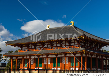 Chukondo Hall of Kofukuji Temple in Nara City, Nara Prefecture, Japan Chukondo Hall of Kofukuji Temple in Nara City, Nara Prefecture, Japan 99554343