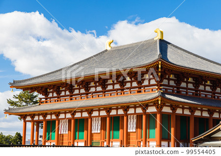 Chukondo Hall of Kofukuji Temple in Nara City, Nara Prefecture, Japan 99554405