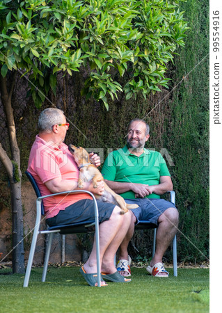 Cheerful men chatting on street Cheerful men chatting on street 99554916