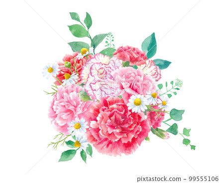 各種康乃馨的水彩插圖。安排。母親節裝飾。 99555106
