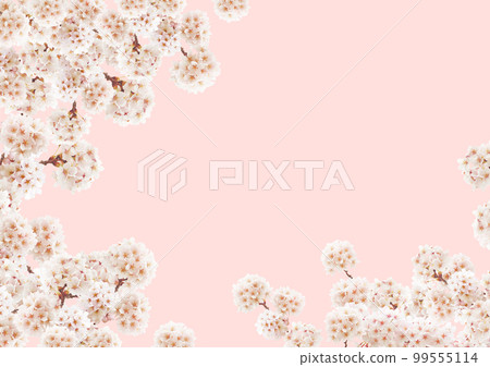 櫻花 99555114