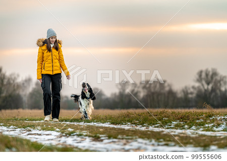 girl with her dog on a walk at sunset in nature. english setter 99555606