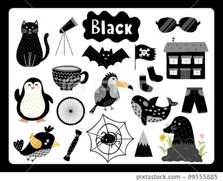 Set of black color objects. Primary colors flashcard with black elements 99555885