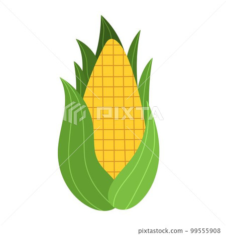 Sweet golden corn in cartoon style. Farm vegetable element Sweet golden corn in cartoon style. Farm vegetable element 99555908