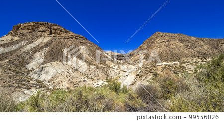 Tabernas Desert Nature Reserve, Almeria, Spain 99556026
