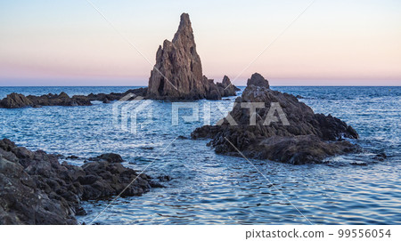 Las Sirenas Reef, Cabo de Gata-Nijar Natural Park, Spain 99556054