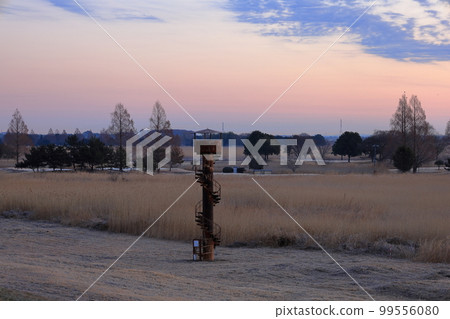 Morning of Watarase Seto 99556080