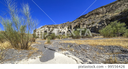 Tabernas Desert Nature Reserve, Almeria, Spain Tabernas Desert Nature Reserve, Almeria, Spain 99556426