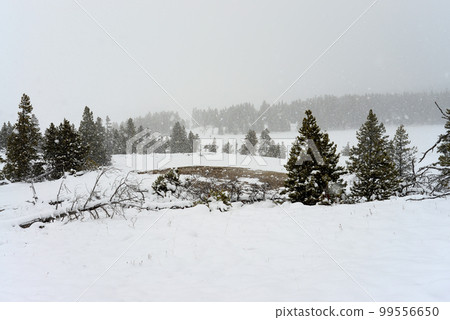 Yellowstone Winter Snow 99556650