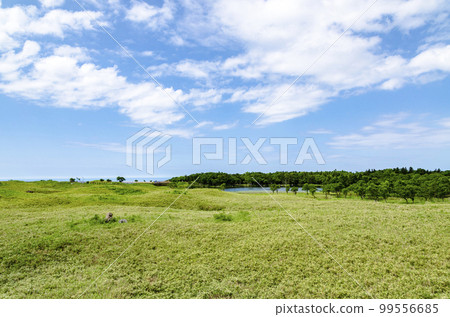 From the refreshing wooden path of Shiretoko Five Lakes From the refreshing wooden path of Shiretoko Five Lakes 99556685
