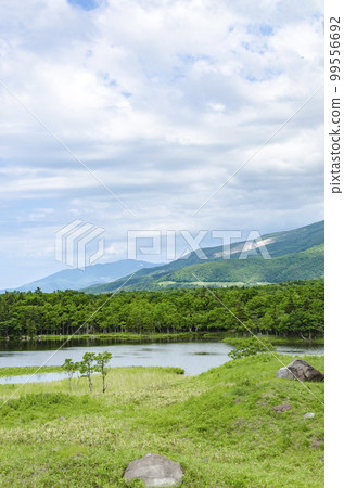 來自知床五湖清爽的木棧道 來自知床五湖清爽的木棧道 99556692