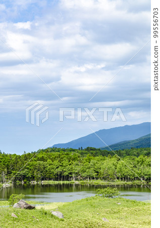 From the refreshing wooden path of Shiretoko Five Lakes 99556703