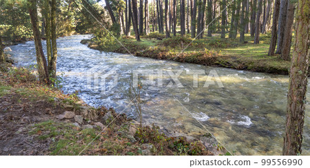 Eresma River, Sierra de Guadarrama National Park, Spain 99556990