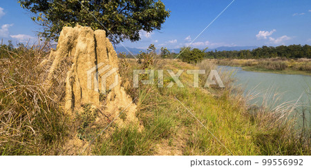 Wetlands, Royal Bardia National Park, Nepal Wetlands, Royal Bardia National Park, Nepal 99556992