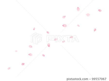 舞動的櫻花花瓣手繪水彩風格插畫 99557067