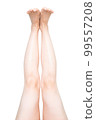 Women's legs 99557208