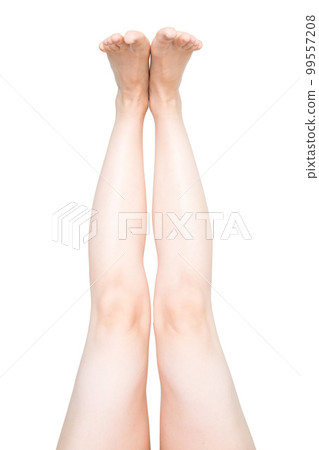 女人的腿 女人的腿 99557208