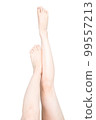 Women's legs 99557213