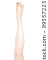 Women's legs 99557223