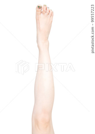 女人的腿 女人的腿 99557223