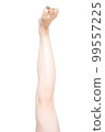 Women's legs 99557225