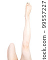 Women's legs 99557227
